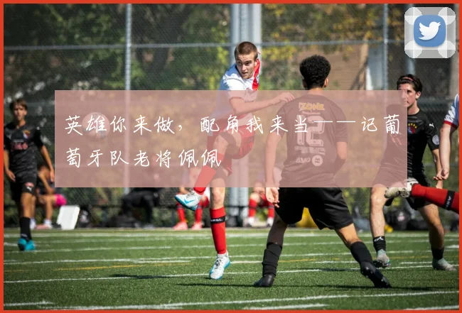 英雄你来做，配角我来当——记葡萄牙队老将佩佩