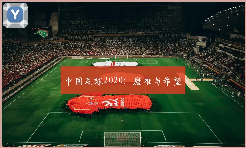 中国足球2020：磨难与希望